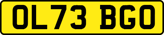 OL73BGO