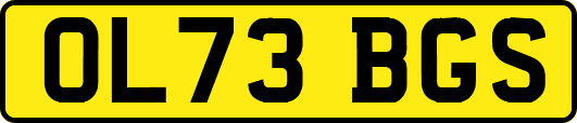 OL73BGS