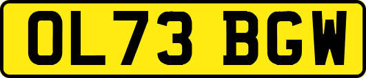 OL73BGW