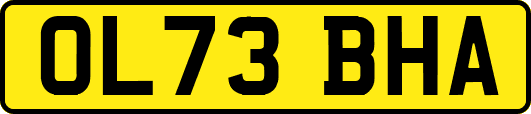 OL73BHA
