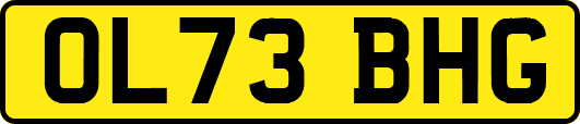 OL73BHG