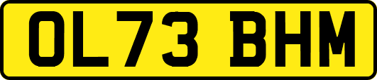 OL73BHM