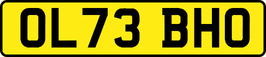 OL73BHO