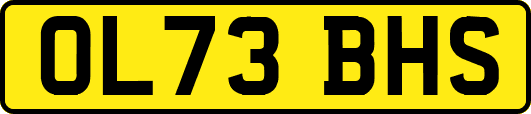 OL73BHS