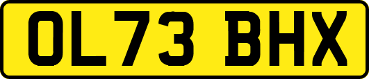 OL73BHX