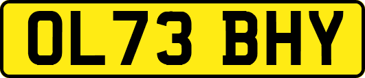 OL73BHY