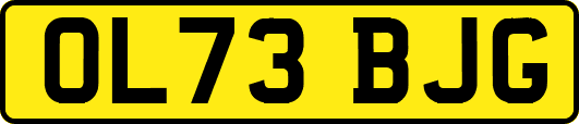 OL73BJG