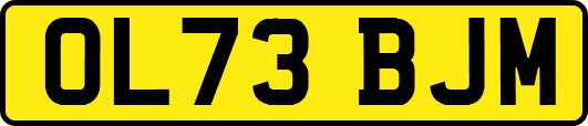 OL73BJM