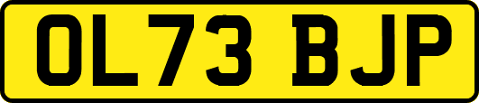 OL73BJP