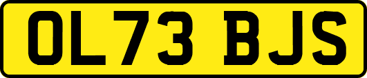 OL73BJS