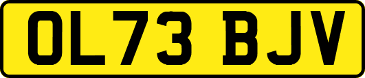 OL73BJV