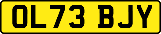 OL73BJY