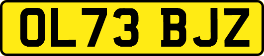 OL73BJZ