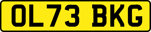 OL73BKG