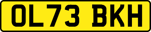 OL73BKH
