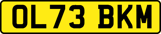 OL73BKM