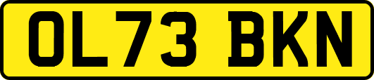 OL73BKN