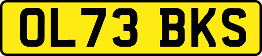 OL73BKS
