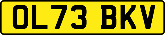 OL73BKV