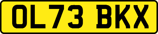 OL73BKX