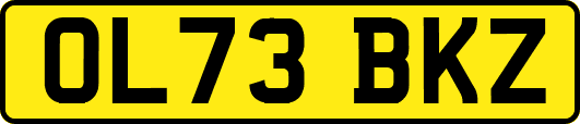 OL73BKZ