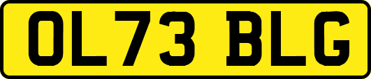OL73BLG