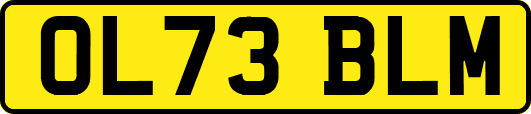 OL73BLM