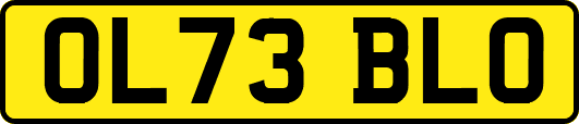 OL73BLO