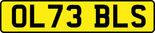 OL73BLS