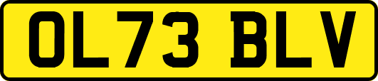 OL73BLV