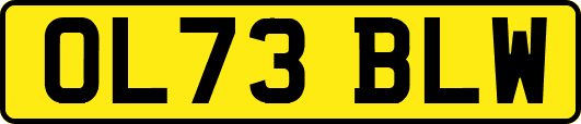 OL73BLW