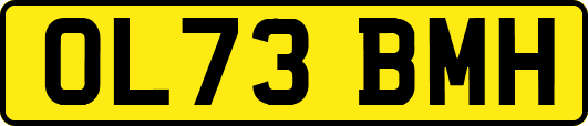 OL73BMH