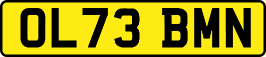 OL73BMN