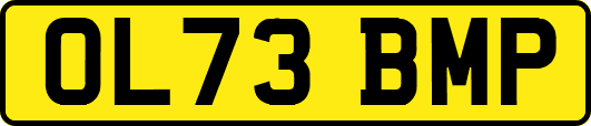 OL73BMP