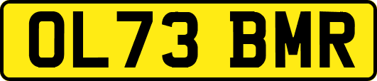 OL73BMR