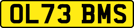 OL73BMS