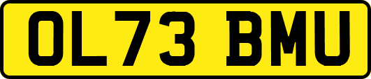 OL73BMU
