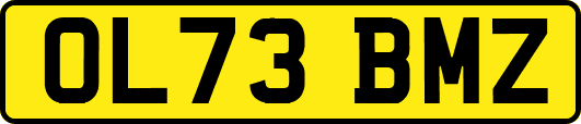 OL73BMZ