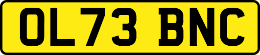 OL73BNC