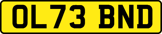 OL73BND