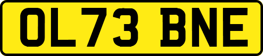 OL73BNE