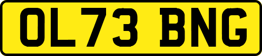 OL73BNG