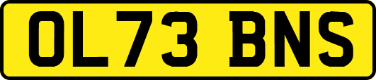 OL73BNS
