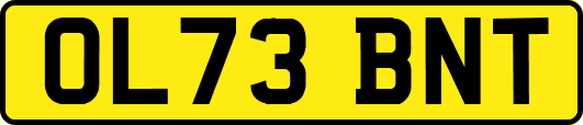 OL73BNT