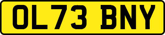 OL73BNY