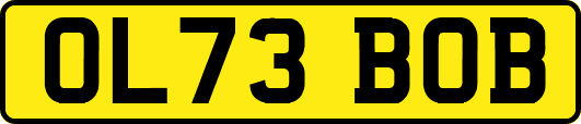 OL73BOB