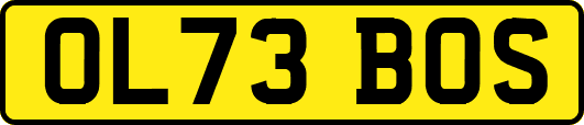 OL73BOS