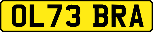 OL73BRA