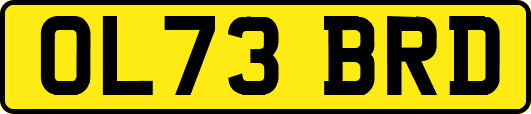 OL73BRD
