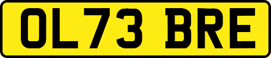 OL73BRE